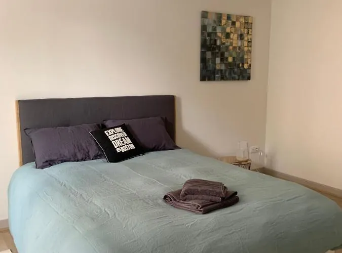 Appartement neuf au centre ville avec jardin